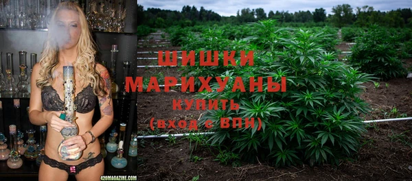 гидра Дмитровск