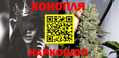 Альфа ПВП Донецк