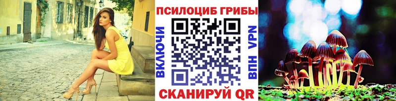 МЕГА маркетплейс  мориарти официальный сайт  Галлюциногенные грибы ЛСД  Хасавюрт 