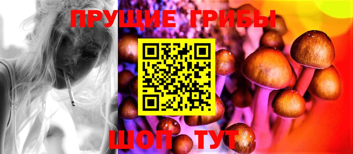 Хасавюрт  Галлюциногенные грибы MAGIC MUSHROOMS  Галлюциногенные грибы Psilocybe  Вход с VPN 